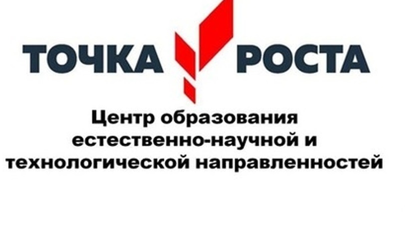 Логтип точка роста.